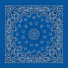 Ryan's Pet Supplies Royal Paisley Dog Bandana