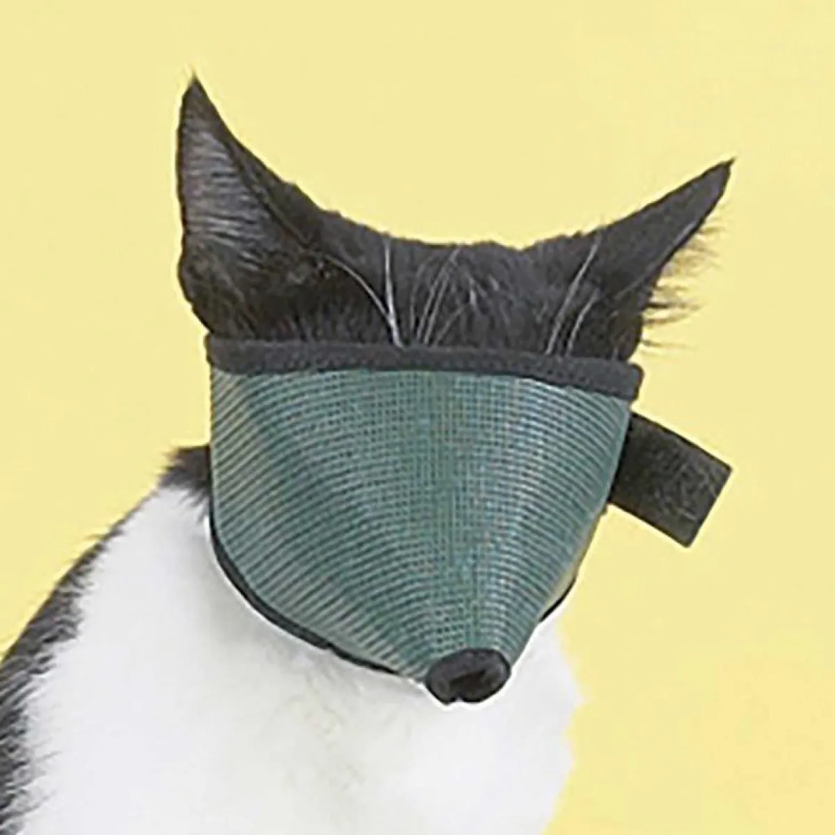 Ryan's Pet Supplies Set Of 3 Mesh Cat Muzzles--All Sizes