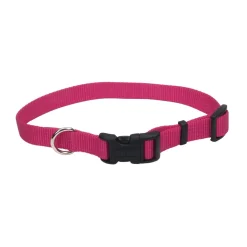 Ryan's Pet Supplies Small Coastal Adjustable Collars with Plastic Snap 5/8"