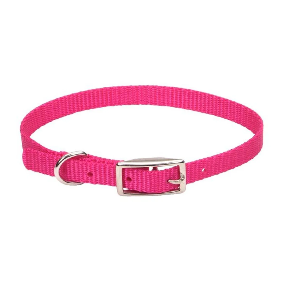 Ryan's Pet Supplies Small Dog Nylon Collars 3/8"