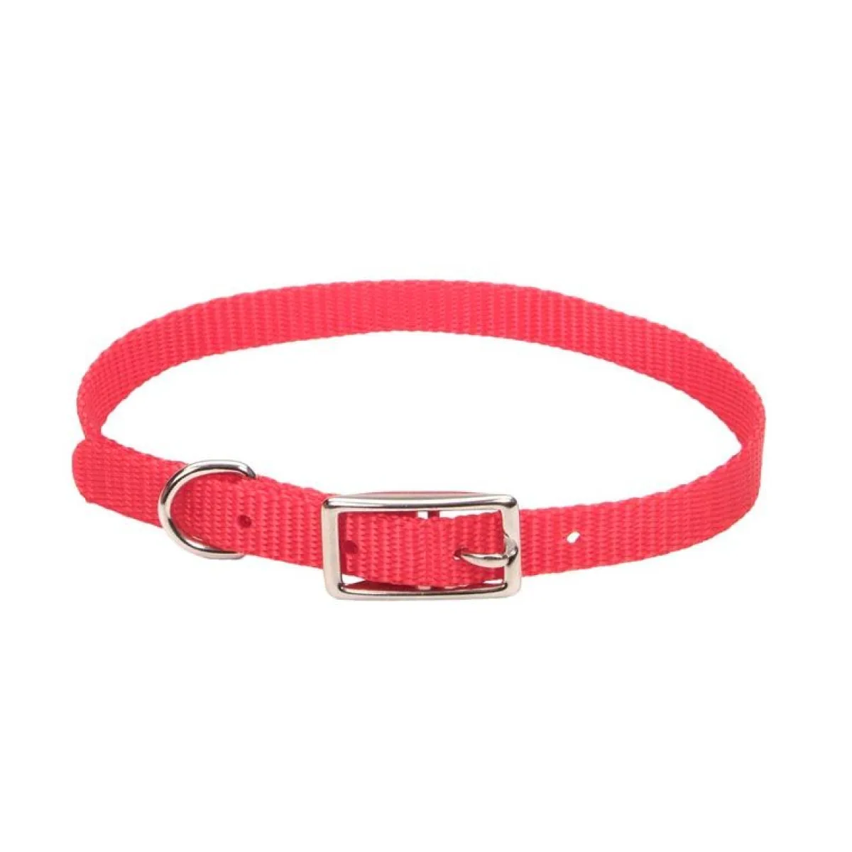 Ryan's Pet Supplies Small Dog Nylon Collars 3/8"