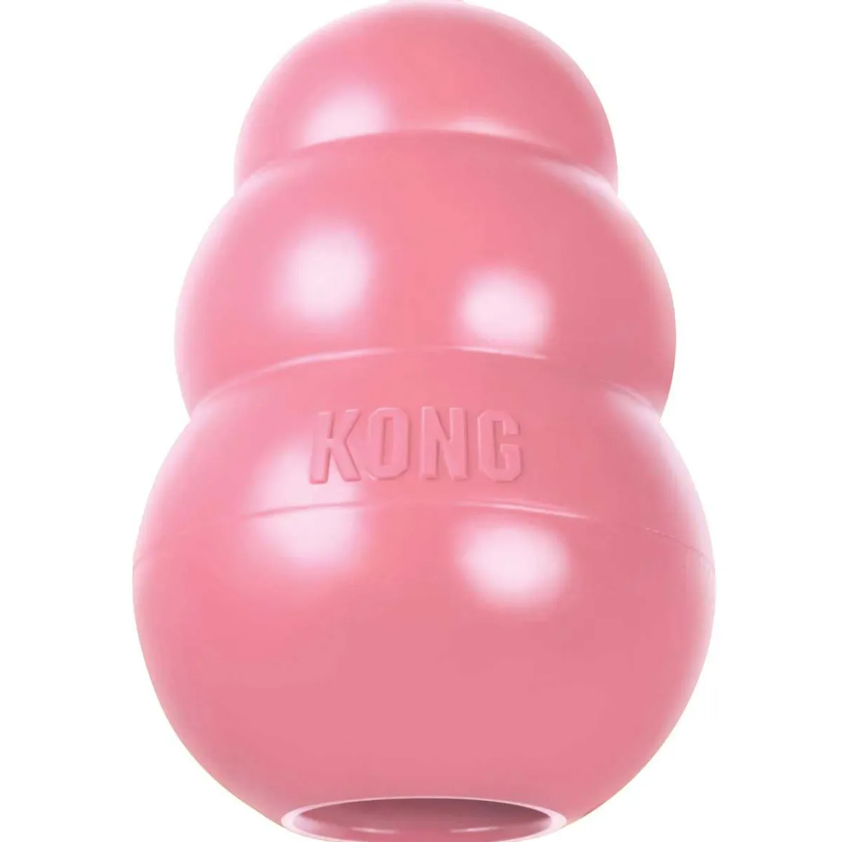 Ryan's Pet Supplies Small Puppy KONG