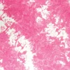 Ryan's Pet Supplies Strawberry Tie Dye Pet Bandana
