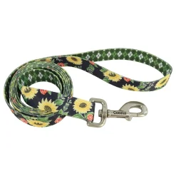 Ryan's Pet Supplies Sublime Dog Leash 1"x 6'