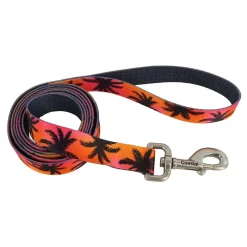 Ryan's Pet Supplies Sublime Dog Leash 1"x 6'