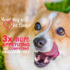 Ryan's Pet Supplies Tropiclean Enticers Teeth Cleaning Gel 2 oz