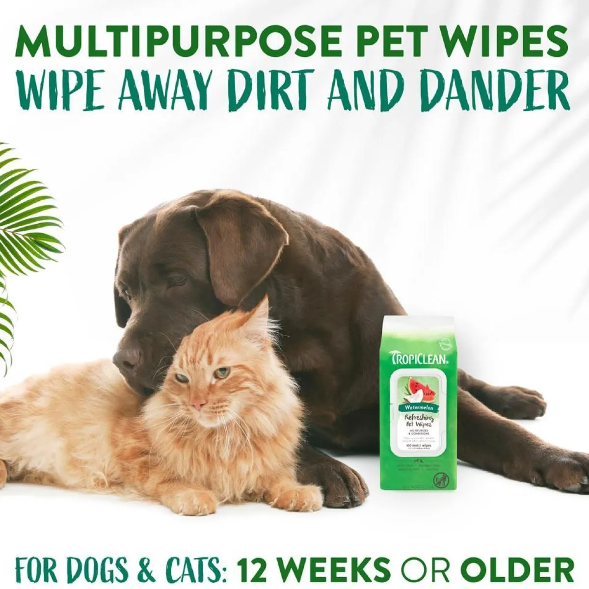 Ryan's Pet Supplies TropiClean Watermelon 2-in-1 Wipes 100ct