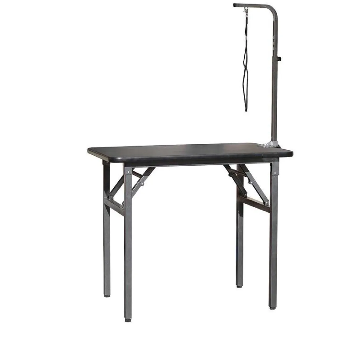 Ryan's Pet Supplies Value Groom Folding Grooming Table W/ Arm 30"x19"x32"