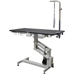 Ryan's Pet Supplies Value Groom Professional Heavy-Duty Electric Grooming Table with Arm 24 X 36