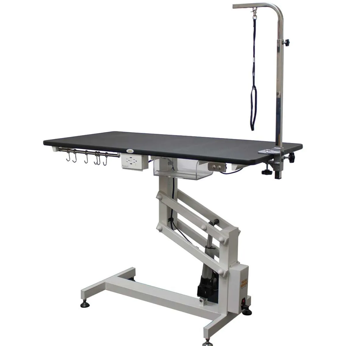 Ryan's Pet Supplies Value Groom 48" Professional Electric Grooming Table w/ Arm