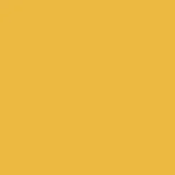 Ryan's Pet Supplies 100 Yards of Plain Ribbon for Dogs