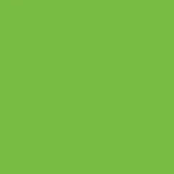 Ryan's Pet Supplies 100 Yards of Plain Ribbon for Dogs