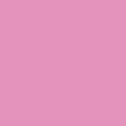 Ryan's Pet Supplies 100 Yards of Plain Ribbon for Dogs