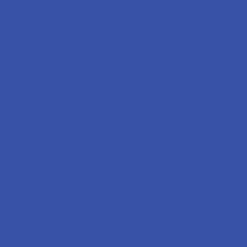 Ryan's Pet Supplies 100 Yards of Plain Ribbon for Dogs