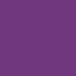 Ryan's Pet Supplies 100 Yards of Plain Ribbon for Dogs