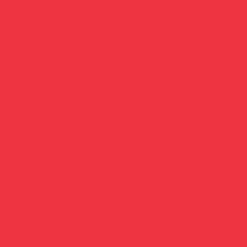 Ryan's Pet Supplies 100 Yards of Plain Ribbon for Dogs