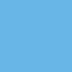 Ryan's Pet Supplies 100 Yards of Plain Ribbon for Dogs
