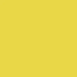 Ryan's Pet Supplies 100 Yards of Plain Ribbon for Dogs