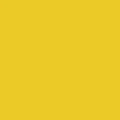 Ryan's Pet Supplies 100 Yards of Plain Ribbon for Dogs
