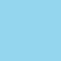 Ryan's Pet Supplies 100 Yards of Plain Ribbon for Dogs