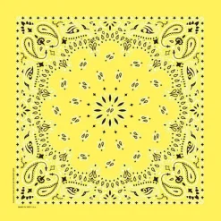 Ryan's Pet Supplies Yellow Paisley Pet Bandana